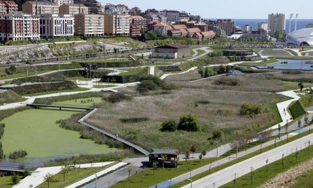 Menos asfalto y más vida: ciudades que recuperan naturaleza para adaptarse al calor extremo