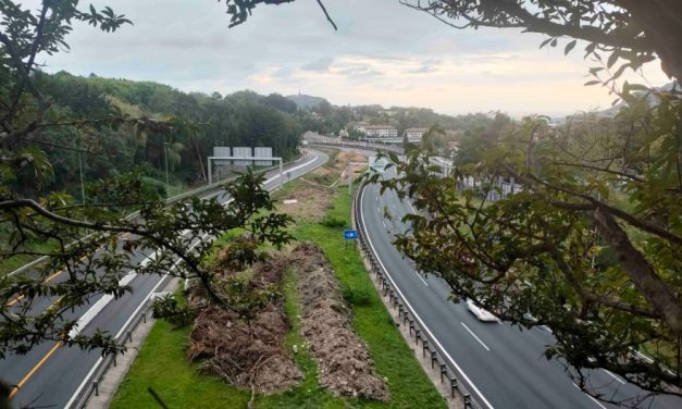 Marrutxipi: Ecologistas y vecinos piden medidas para amortiguar los efectos de la tala