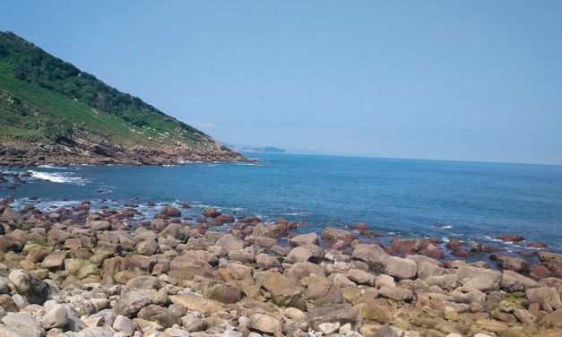 Donostiako gerriko berde-urdina orain